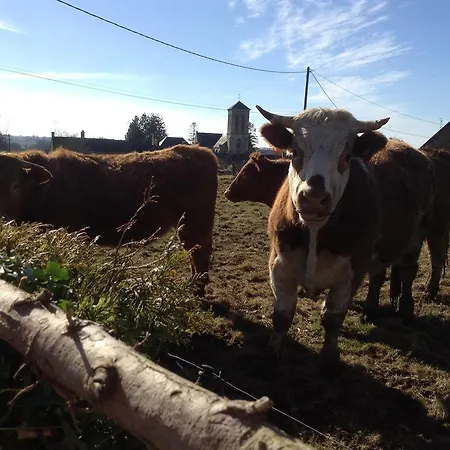 La Perruche * Heussé