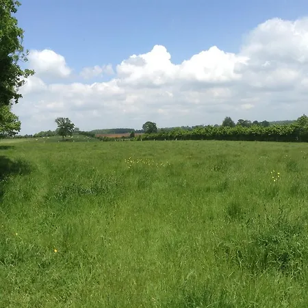 La Perruche Heussé