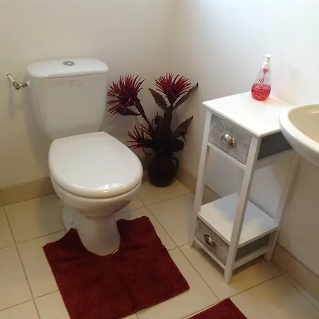 La Perruche Nyaraló