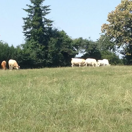 Dom wakacyjny La Perruche