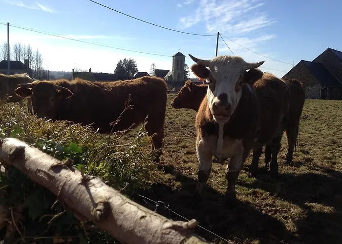 La Perruche * Heussé