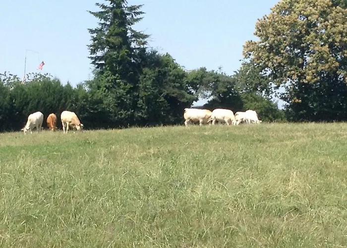 Feriehus La Perruche